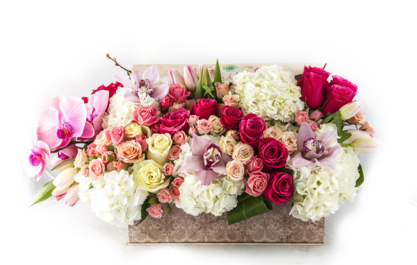 Корзина с цветами орхидеи, гортензии и розы и тюльпана на белом фоне