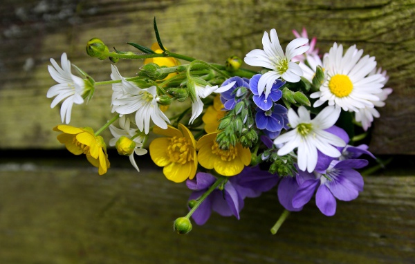 Красивый букет полевых цветов