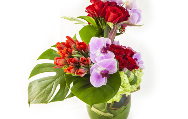 Красивые цветы в стеклянной вазе на белом фоне