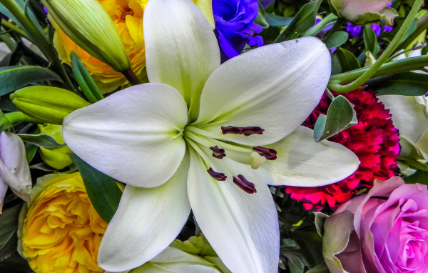 Красивая крупная белая лилия в букете крупным планом 