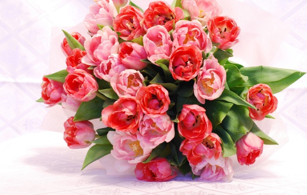 Большой красивый букет розовых тюльпанов крупным планом