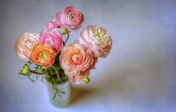 Букет лютиков в вазе на сером фоне