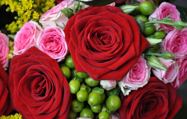 Букет из крупных красных роз с розовыми 