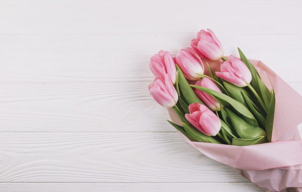 Букет розовых тюльпанов, шаблон для поздравительной открытки