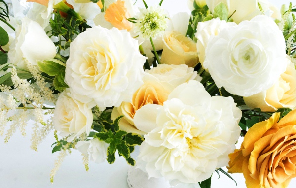 Букет белых и желтых роз на белом фоне