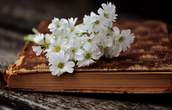 Букет белых нежных цветов на старой книге 