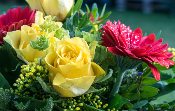 Букет желтых роз с красными цветами герберы 