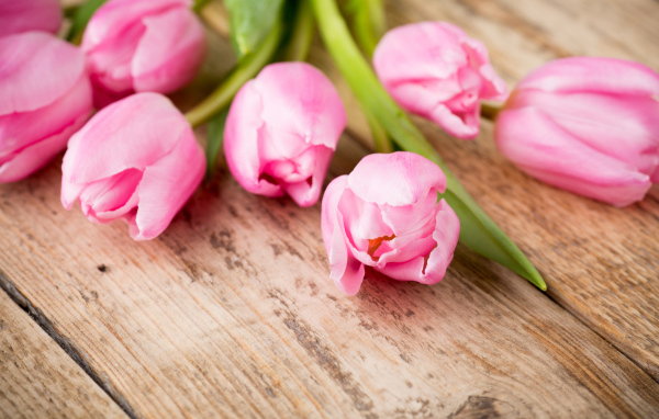 Нежные розовые тюльпаны на деревянном столе