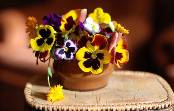 Цветы анютины глазки в вазе 