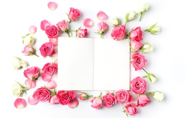 Розовые розы с белым листом, шаблон для открытки