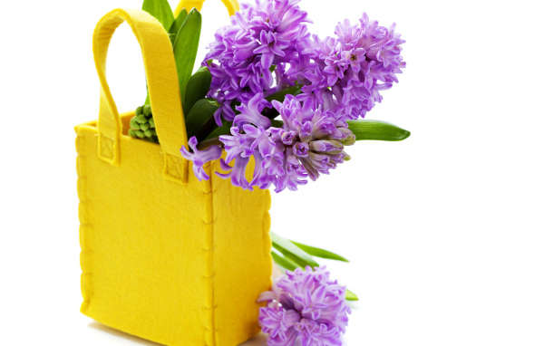 Фиолетовые гиацинты в желтой сумочке на белом фоне