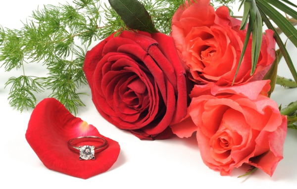 Три красных розы с красивым кольцом с бриллиантом