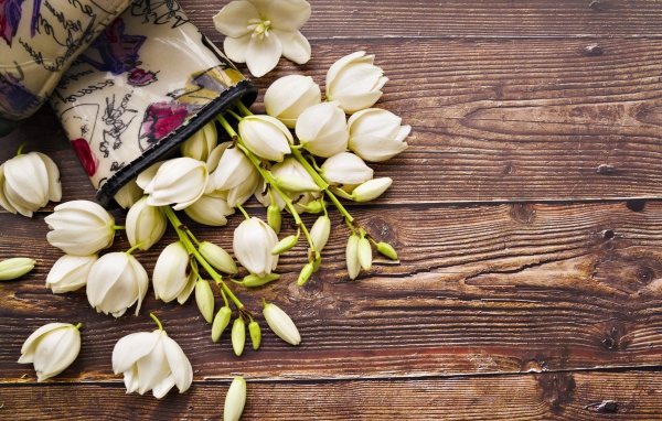 Белые цветы на деревянном фоне