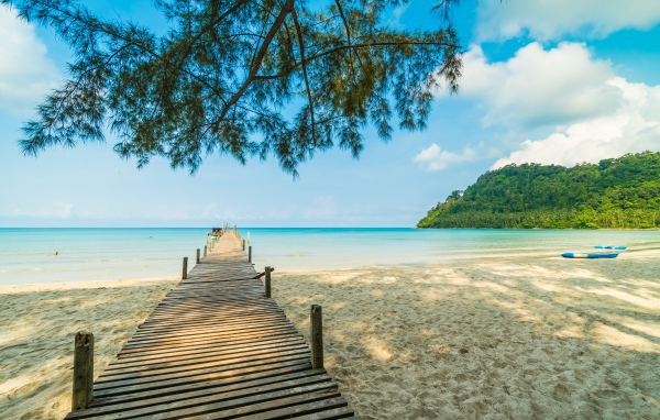 Деревянный мост под деревом в океане 
