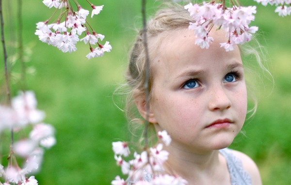 Маленькая голубоглазая девочка с ветками весенних цветов