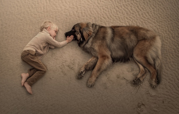 Маленький мальчик лежит на песке с большой собакой