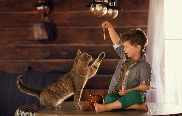 Маленький мальчик дразнит рыбой серого кота