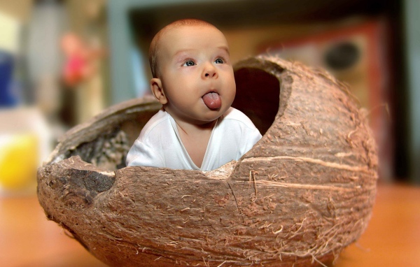 Прикольный ребенок сидит в кокосовом орехе