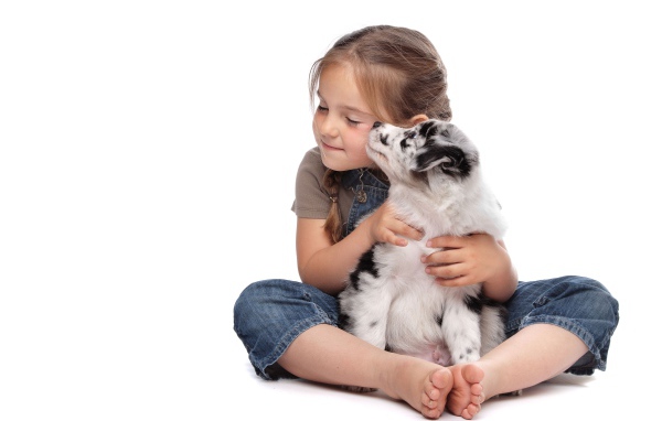 Маленькая девочка обнимает щенка на белом фоне