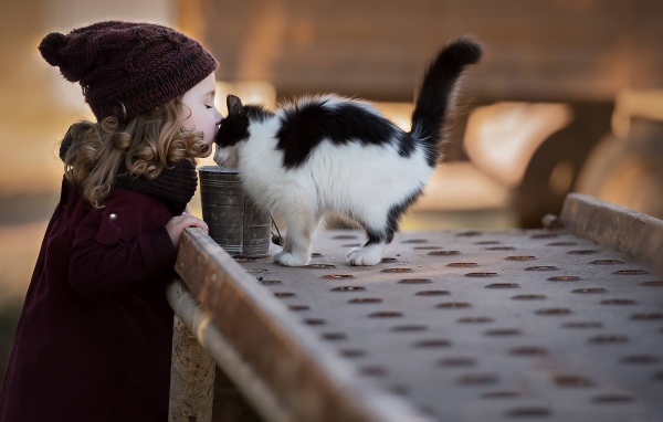 Маленькая девочка целует котенка 