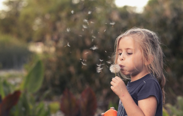 Маленькая девочка с одуванчиком в руках 