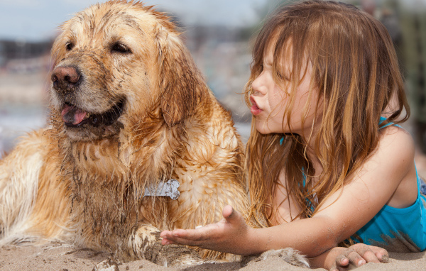 Маленькая девочка с мокрой собакой на песке