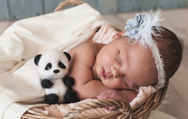 Маленькая спящая девочка с игрушечной пандой