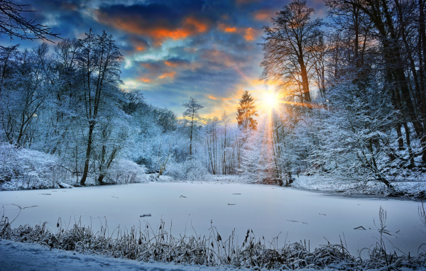Восход яркого зимнего солнца в покрытом белым снегом лесу