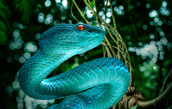 Голубая змея с красными глазами крупным планом