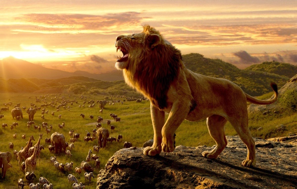 Большой грозный лев на скале 