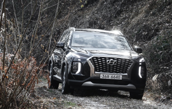 Черный внедорожник Hyundai Palisade 2019 года в зарослях 