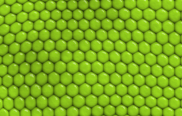 Зеленый фон соты крупным планом