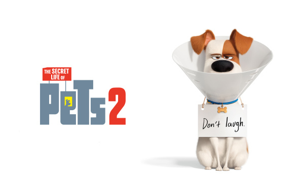 Постер мультфильма  Тайная жизнь домашних животных 2