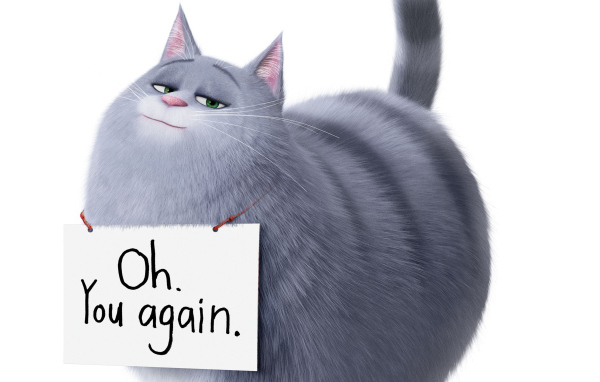 Кошка Хлоя из Тайная жизнь домашних животных 2 на белом фоне