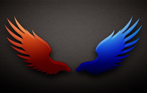 Разноцветные крылья на сером фоне