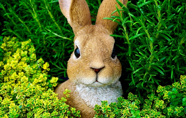 Статуэтка кролика в зеленой траве 