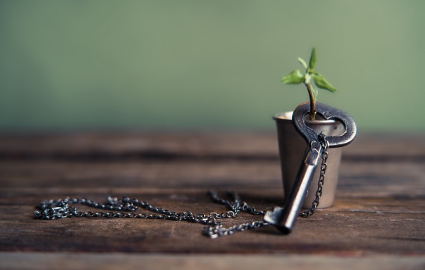 Ключ на цепочке одет на веточку в стакане