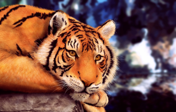 A big drawn tiger lies on a stone.