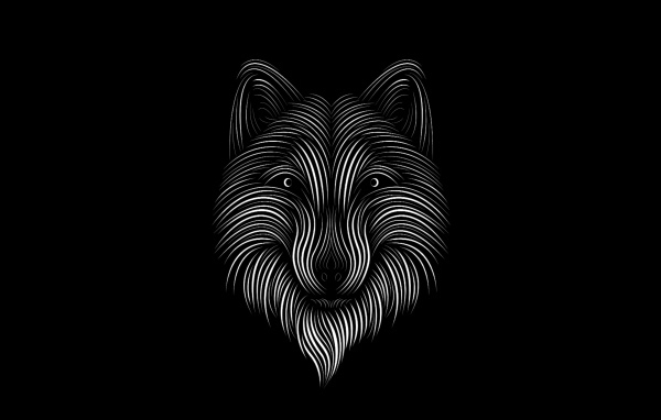 White wolf on black background