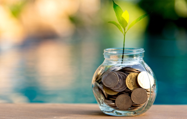 Зеленый росток прорастает из копилки 