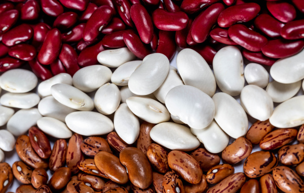 Много разноцветной фасоли крупным планом