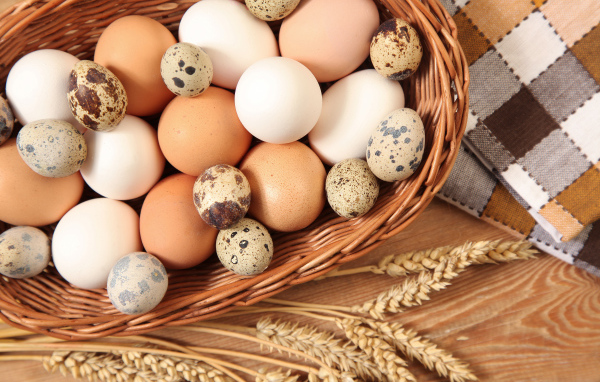 Куриные и перепелиные яйца в корзине на столе с колосками