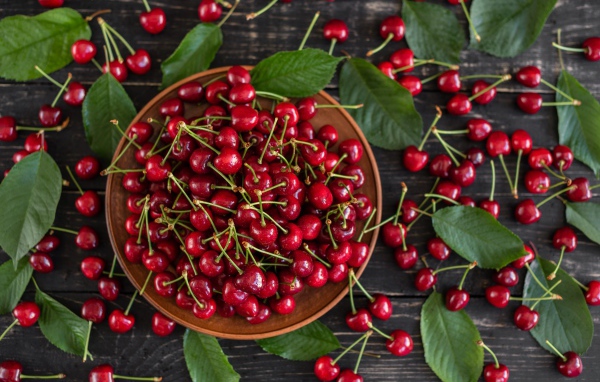 Много спелой красной черешне в миске на столе
