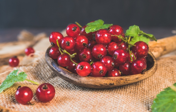 Красивая спелая красная смородина 