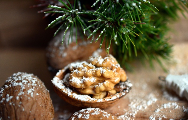 Грецкие орехи посыпанные сахарной пудрой на столе с еловой веткой