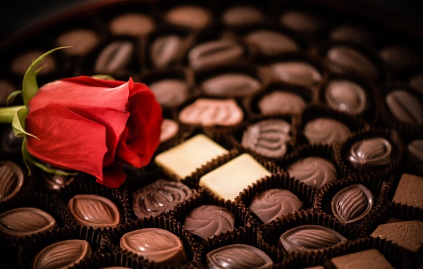 Красная роза лежит на коробке с шоколадными конфетами ассорти 