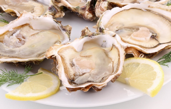 Устрицы с лимоном и укропом на белой тарелке
