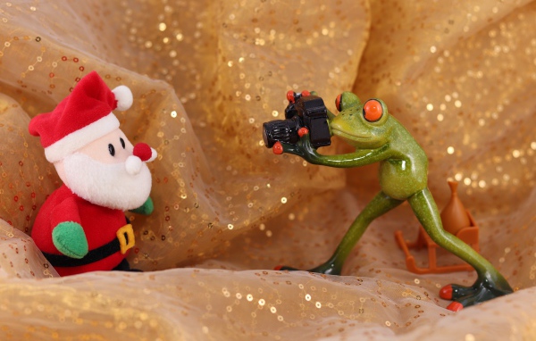 Зеленая жаба фотографирует Деда Мороза