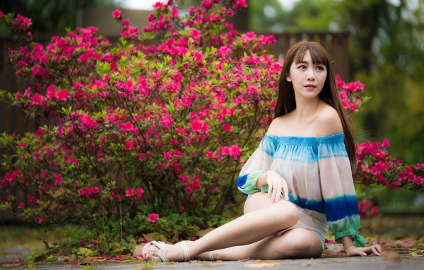 Молодая девушка азиатка сидит у куста с розовыми цветами