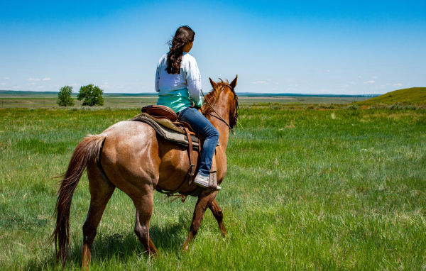 Молодая девушка едет на лошади по зеленой траве